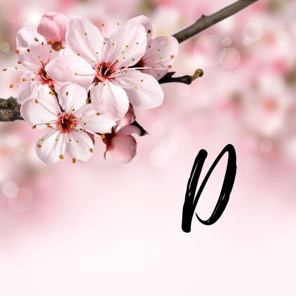 Meet your Posher, Danielle - Picture 1 of 3